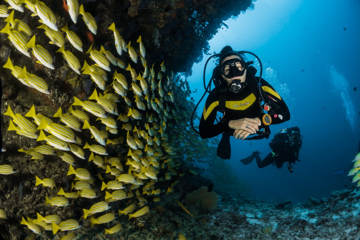 Snorkeling in Bali waters